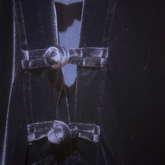 Coldwater Creek Dress Womens XL Dark Purple Velvet Maxi Whimsigoth Goth Witchy - Picture 3 of 9